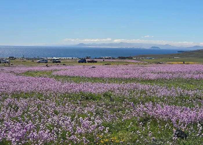 Apartman Del Sol - Sea View *